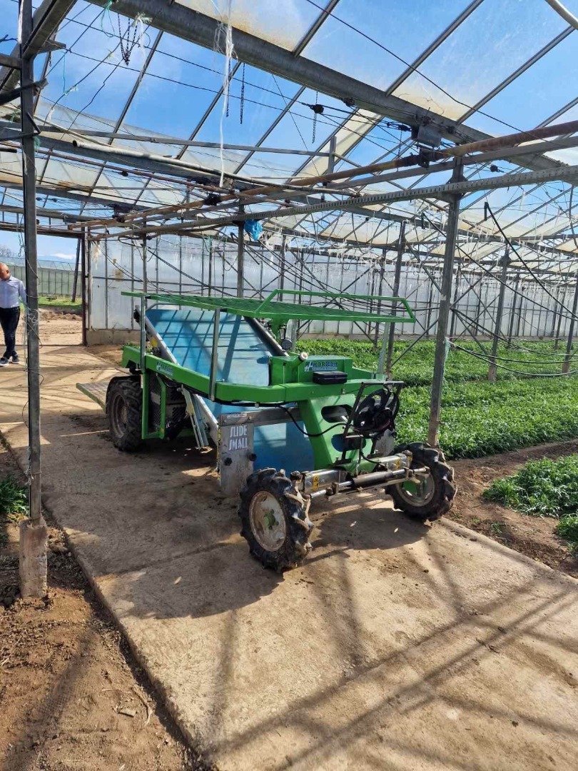 Baby Arugula Odmiana: Marldi Pochodzenie: Macedonia, Gradsko Cena: 2,5Eur/kg ale przy uzgodnieniu całej ilości mamy opcję niższej ceny Ilości: 2-3 tiry/tydzień