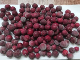 Głęboko mrożone wiśnie (IQF), w kartonach 10 kg. Do