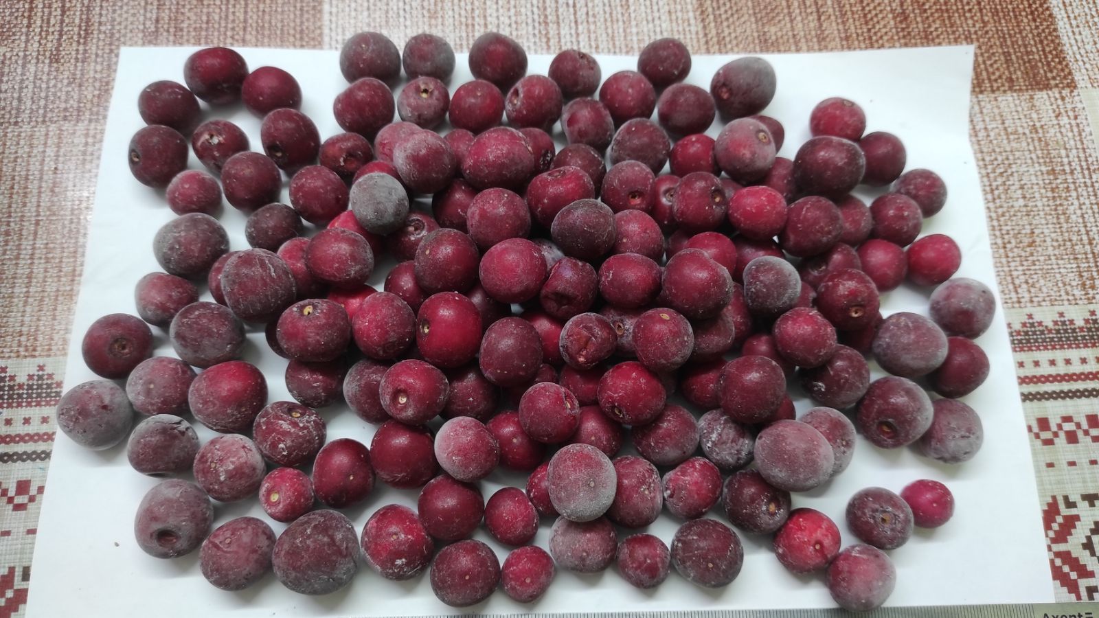 Głęboko mrożone wiśnie (IQF), w kartonach 10 kg