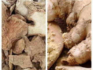Oferujemy naturalne suszone kawałki imbiru z lasów deszczowych Afryki