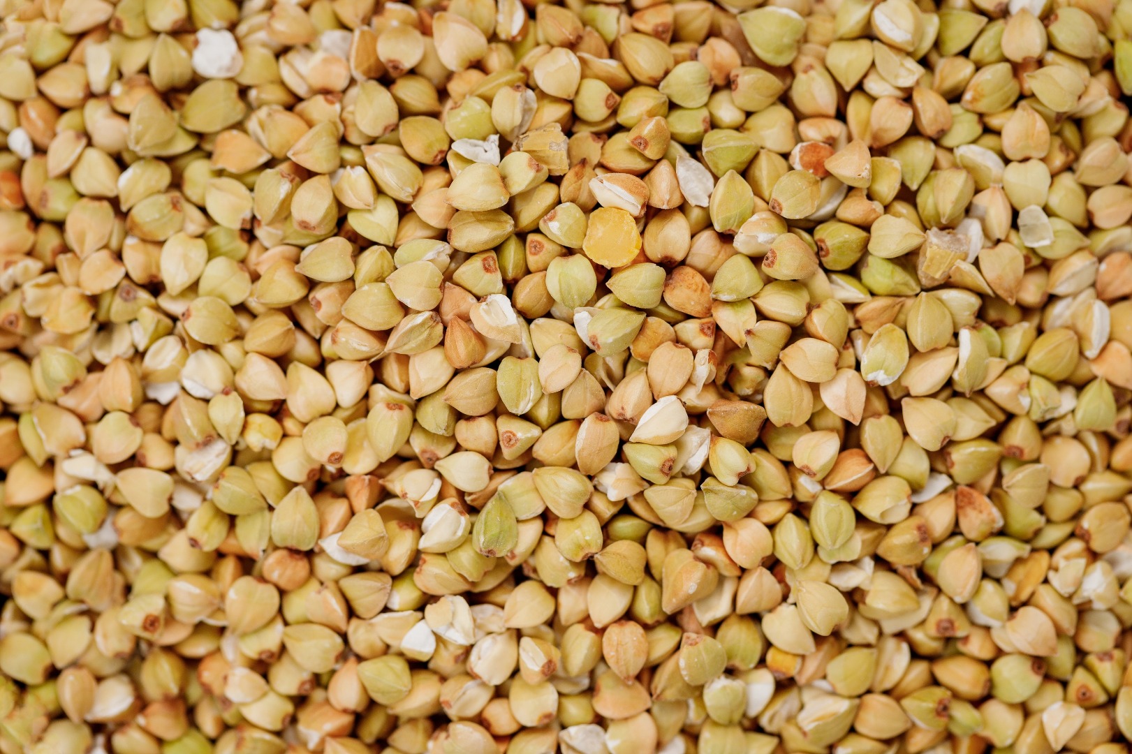 W naszej ofercie posiadamy kaszę gryczaną zieloną własnej produkcji