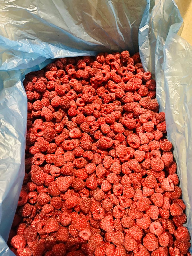 Oferujemy mrożone owoce maliny najwyższej klasy, objętość i jakość są gwarantowane!Posiadamy również owoce 60/40, 50/50, odpady, kaszę manną i inne.Oferujemy