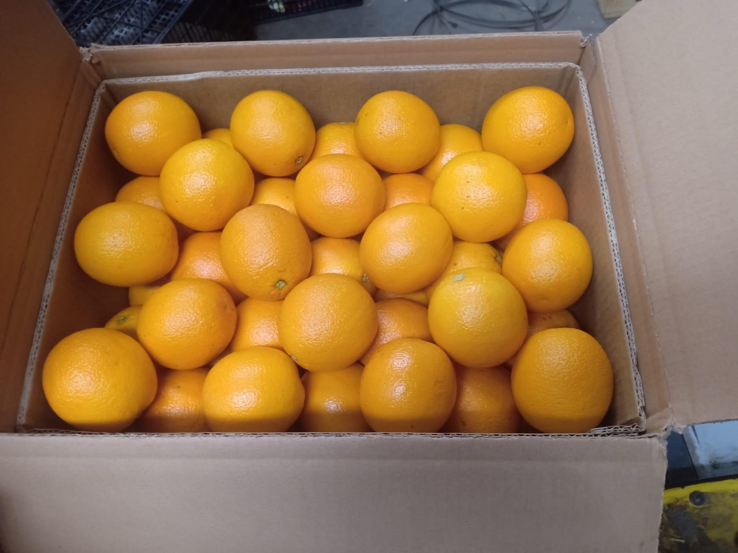 Pomarańczowy valencia maroc późny kot 1 Rodzaj opakowania: karton 10kg / 15kg Po więcej informacji zapraszamy do kontaktu IBRAHIM