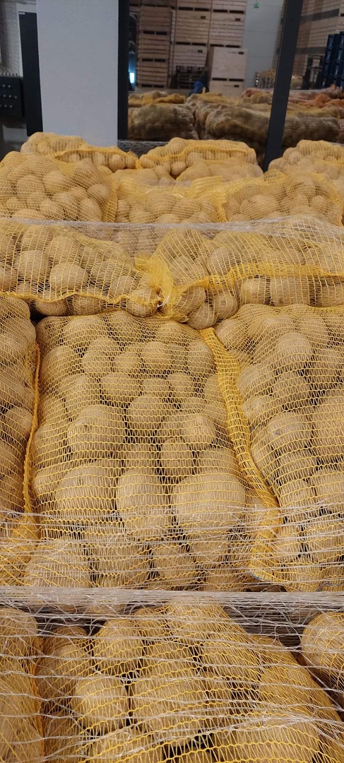Sprzedam ziemniaki żółte kaliber 5+ Z badaniami FITO Worek 10kg Whatsapp