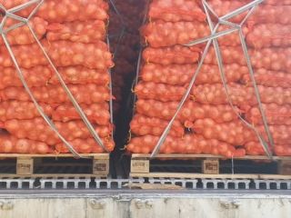 Cebula biala w workach po 15 kg