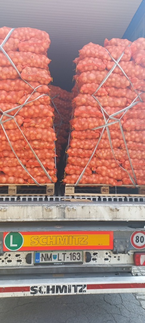 Cebula biala w workach po 15 kg