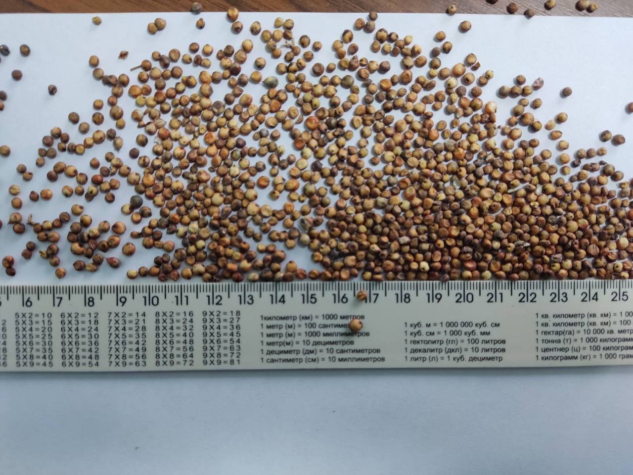 Witam.Oferuję 435€ proso czerwone 350t 375€ za proso żółte 200t 320€ za sorgo czerwone 500t Dostawa do uzgodnienia na terenie całej Europy