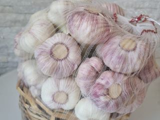 Sprzedam czosnek egipski z łętą 20 cm w worku