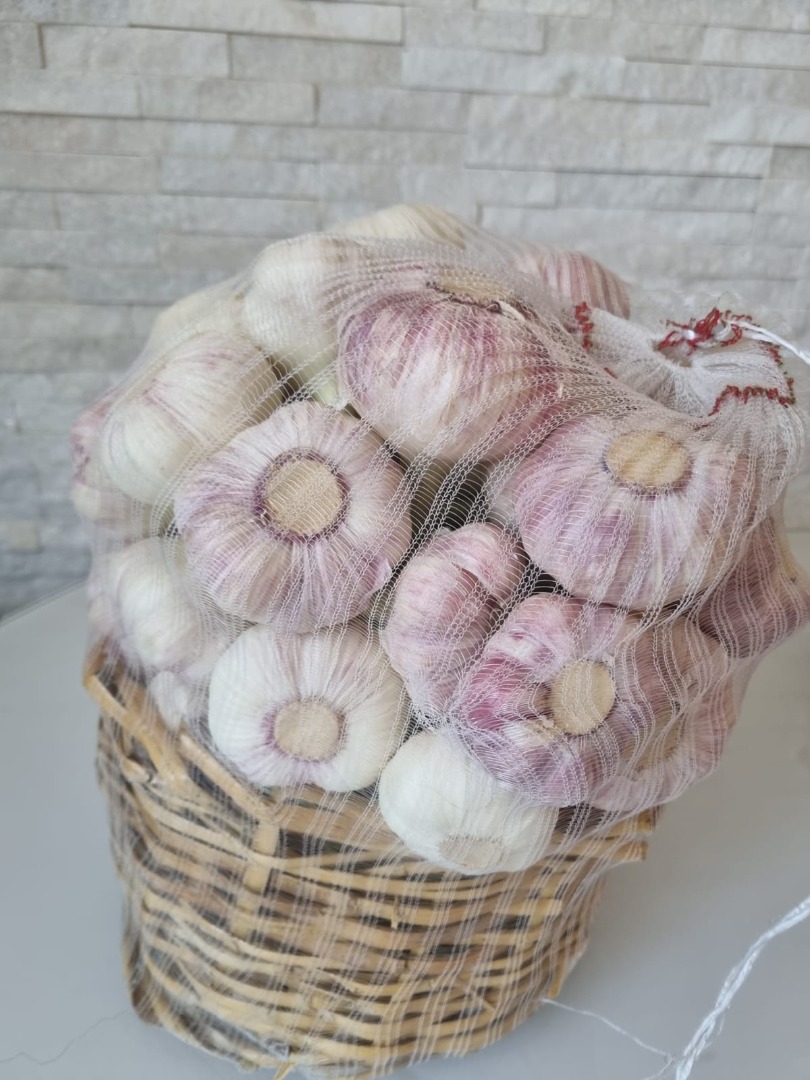 Sprzedam czosnek egipski z łętą 20 cm w worku 20kg kaliber 6+ dostępne również kosze 5kg grubę oraz drobniejsze klatki 10kg kaliber 5