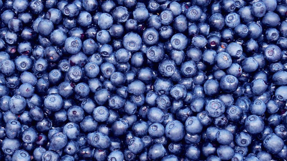 Sprzedam jagody, dowolne opakowanie i naklejkę, dostępne duże ilości