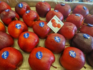 Posiadamy w swojej ofercie różnego rodzaju jabłka i gruszki