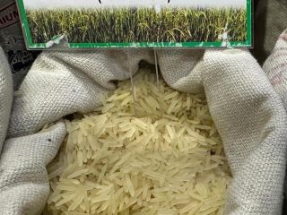 Super Long Basmati Rice (Pakistan) Super Long Basmati Rice