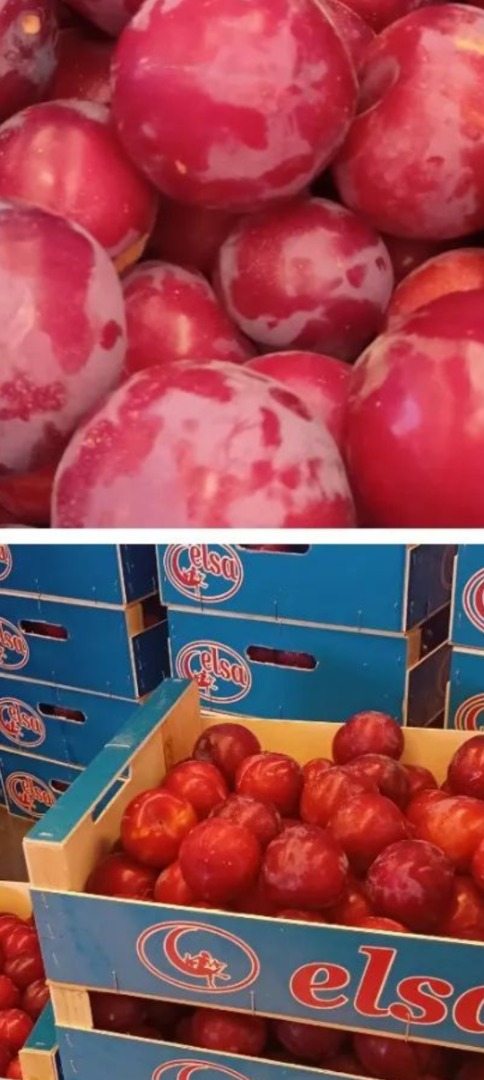 producenci nektaryn, brzoskwiń o żółtym miąższu i persimmons w Hiszpanii, ostrzeżenie kredytowe lub inne, więcej informacji