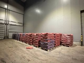 Dobry dzień. Sprzedam ekologicznie czyste ziemniaki uprawiane na polach