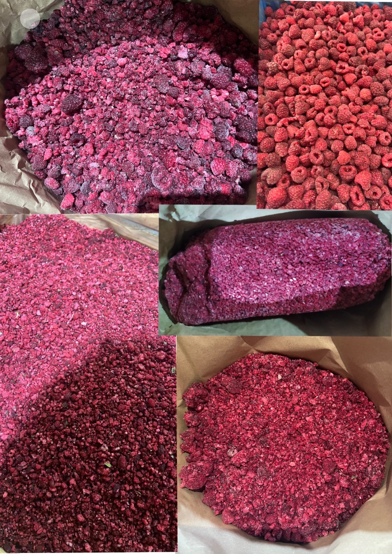 Malina mrożona oryginalna 80/20 do dalszego przerobu - 1,80 EURO/kg - Borówka dzika mrożona do dalszego przetwórstwa Borówka dzika może być zarówno oryginalna