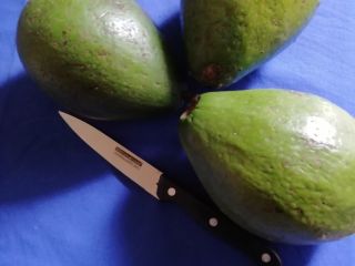 Jesteśmy producentem świeżych awokado w Burundi typ HS 080440
