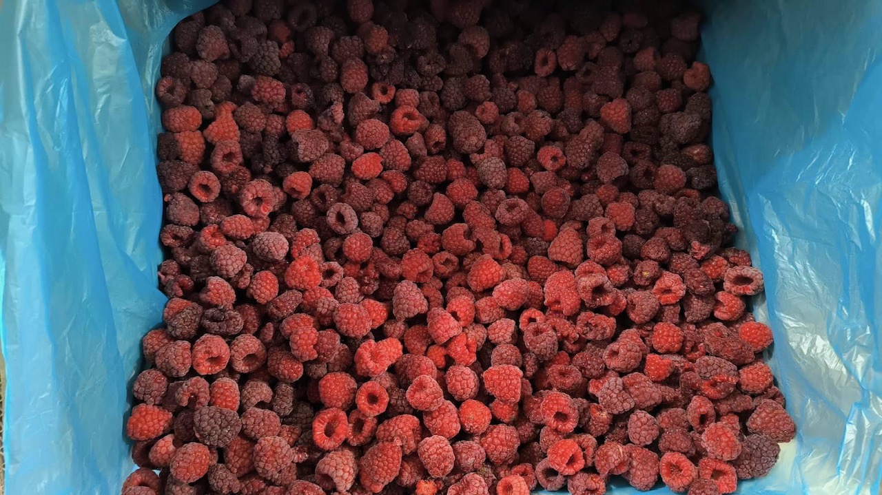 Oferujemy na dzień dzisiejszy Malina mrożona gryz do dalszego przerobu - 1,55 EURO/kg Posiadamy 40 ton Malina mrożona 80/20 - 3,00 EURO/kg Posiadamy 20 ton z