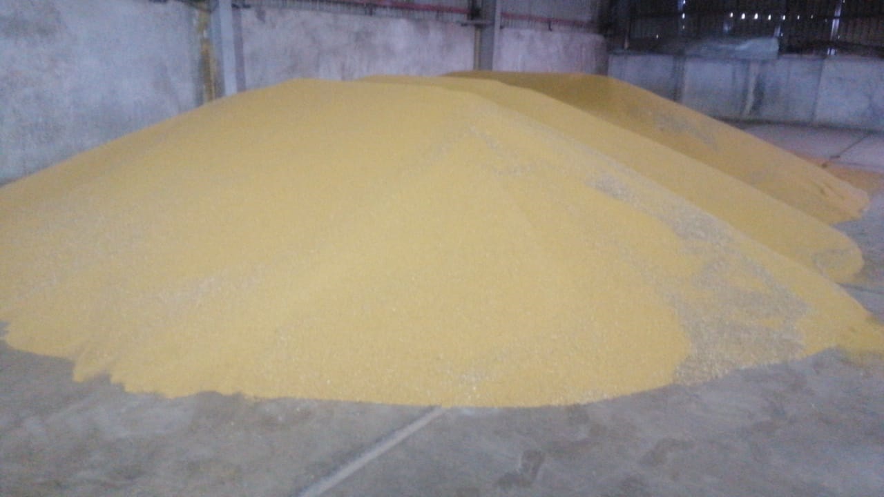 Producent rolny sprzedaje gorczycę żółtą pakowaną w Big Bagi lub worki dla kupującego