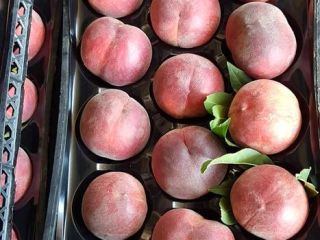 Sprzedaż hurtowa brzoskwiń