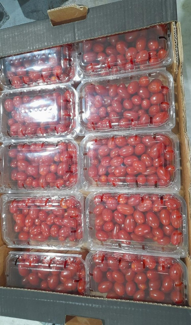 Pomidor koktajlowy Grape Premium pakowany g dostępne sztuk