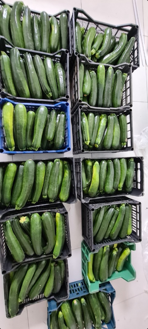 Witam jestem rolnikiem, posiadam na sprzedaż cukinie zieloną Nefryt