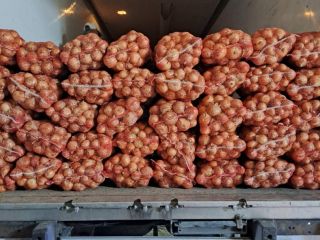 Sprzedam 300 ton cebuli kaliber 5+