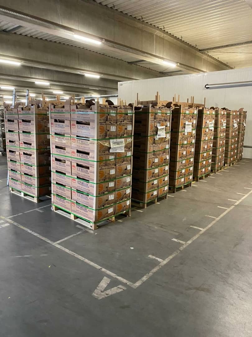 Drodzy Przyjaciele, oferuję Wam uzbeckiego słodkiego melona w rozsądnej cenie
