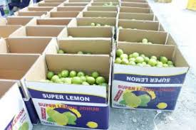 Sprzedam Tahiti Limes Grade 1 prosto od producenta