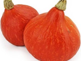 Witam Mam na sprzedaż Dynie Hokkaido Orange. Zapraszam do