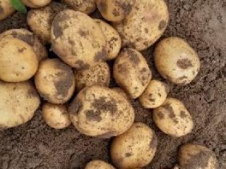 [ ENG ]Good morning, I have large quantities of