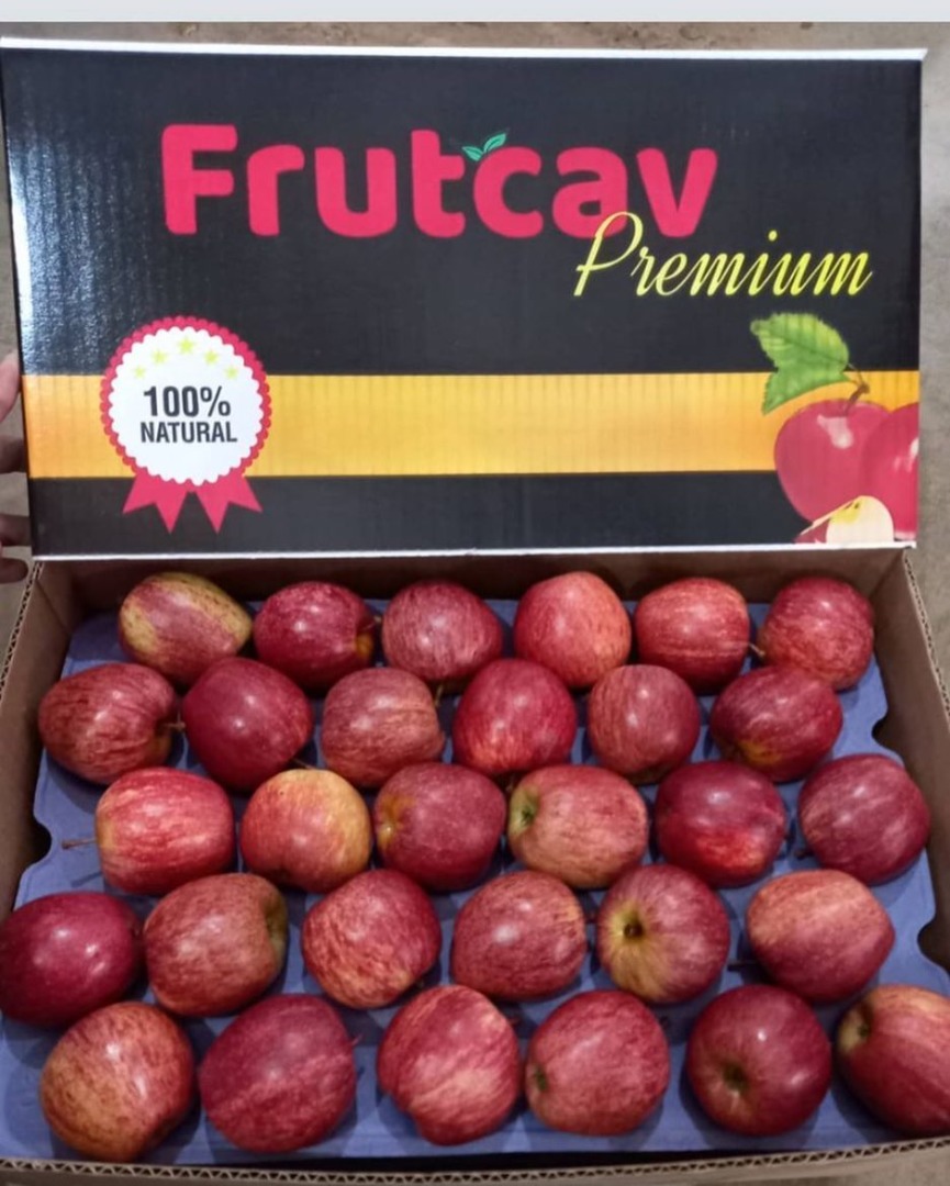 Sprzedam pojemniki z jabłkami, które pochodzą z gór Santa Catarina tutaj w Brazylii, są to jabłka doskonałej jakości, przyjdź do nas i negocjuj te piękne jabłka
