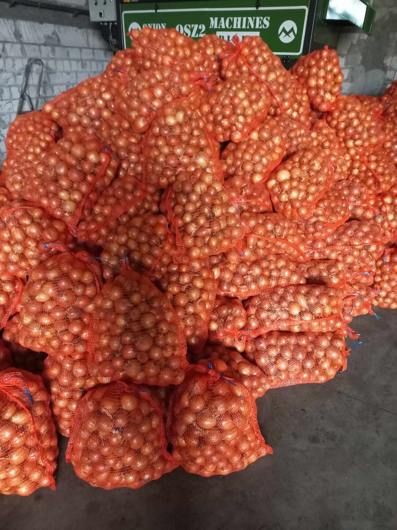 Sprzedam cebulę żółtą kaliber 4+ worek 15 kg szyty lub wiązany lenko ilości do uzgodnienia Dzwonić pod numer