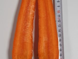 Marchew z odmiany Norway i Nacton. Na chwilę obecną