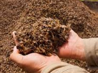 Sprzedam makuch z ziarna palmowego. Pakowany w worki 40