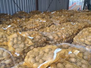 POTATOES-LARGE QUANTITIES. CALIBER TO BE AGREED. EACH PACKAGING. SALES