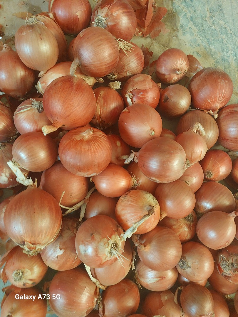 Cebula żółta z Uzbekistanu Cebula żółta, czerwona, biała Torba 10 kg, 15kg, 20 kg, 25 kg, 30 kg, Big bag 500 kg - 1000 kg Rozmiar od 40mm do 130 mm Eksport do