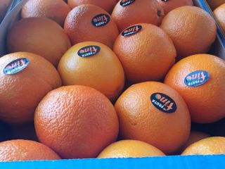 BEZPOŚREDNIO OD PRODUCENTA Grecja pomarańcze gatunek 1, cena 0,90