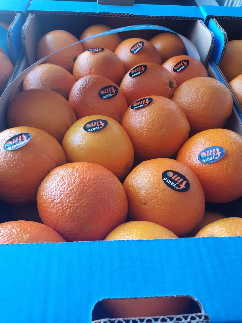 BEZPOŚREDNIO OD PRODUCENTA Grecja pomarańcze gatunek 1, cena 0,90 euro/kg Grecja pomarańcze gatunek 2 cena 0,80 euro/kg Grecja pomarańcze Valencia odmiana na