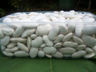 Fasola biała duża, 70-80 szt./kg, produkowana metodami ekologicznymi, opakowanie: