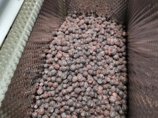 IQF Bilberry Klasa A opakowanie 20 worków cena 3,2€