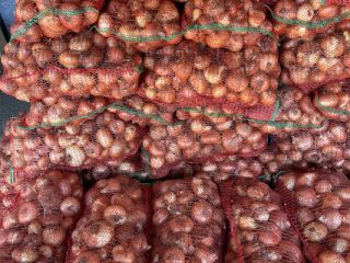 Cebula Rumuńska Pakowane w worki 10 KG