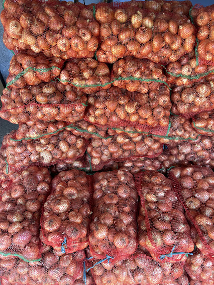 Cebula Rumuńska Pakowane w worki 10 KG
