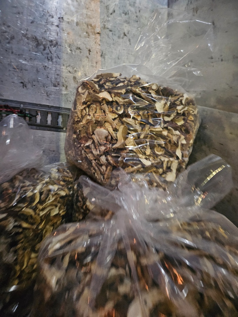 I sell dried boletus and dried boletus head