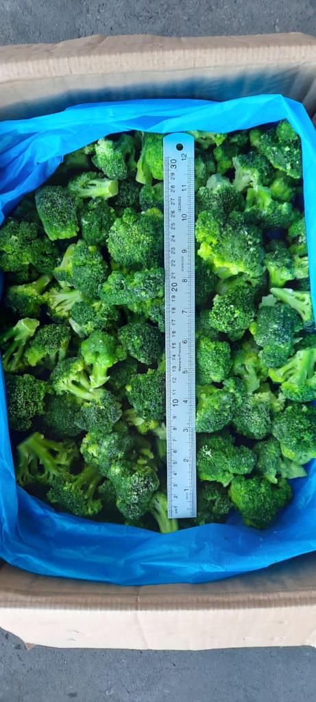 IQF frozen broccoli good quality with good prices origin of Egypt 676 $per ton for calibrated 40-60
