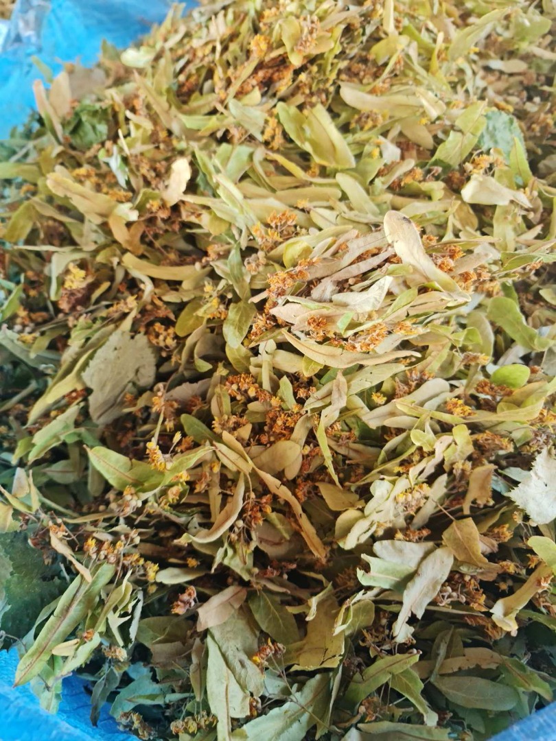 Sprzedam kwiat lipy z certyfikatem BIO, dziką różę suszoną Rosa Cannina - certyfikat BIO oraz wiele innych ziół