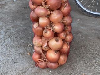 Szukam odbiorcy cebuli. Cebula z Kazachstanu. Cena, wielkość kokardy,