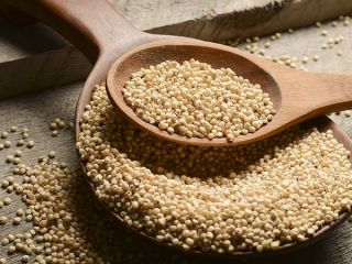 Posiadamy w sprzedaży sorgo w konkurencyjnej cenie. Posiadamy w