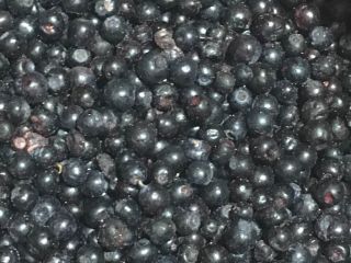 Sprzedam Polski mrożone jagody z certyficatem BIO-organiczne ,wyczyszczony, klasa