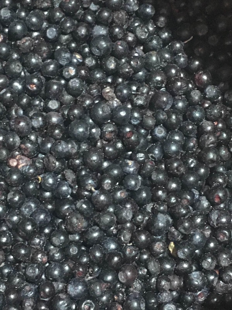 Sprzedam Polski mrożone jagody z certyficatem BIO-organiczne ,wyczyszczony, klasa B