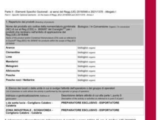 ZB SRL CLEMENTINE KALIBER 1 ChOG (oznaczenie geograficzne chronione)